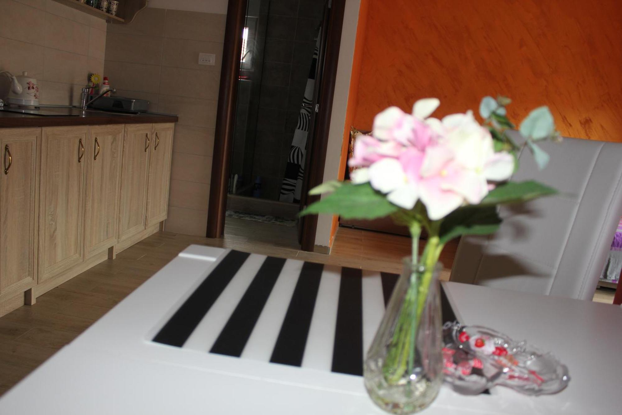 Apartments Kapisoda Cetinje Extérieur photo